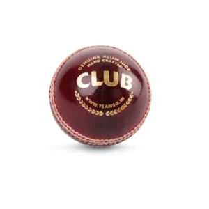 SG Club Leather Cricket Ball Red